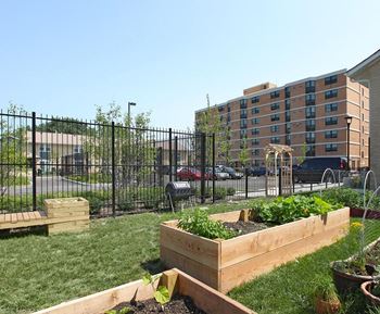 Community garden